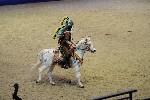 Quadrille - 00359